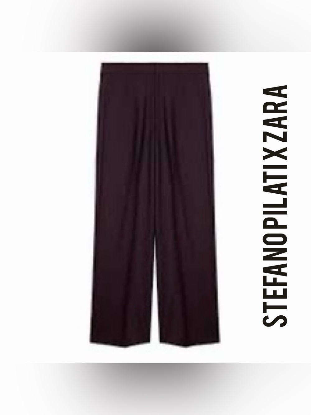Zara Stefano Pilati Plum Wide-Leg Trousers